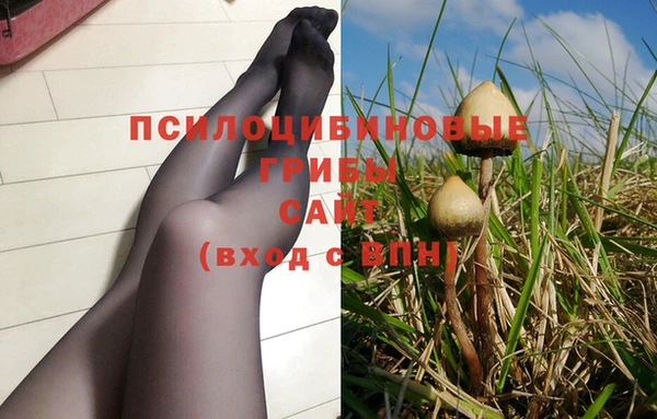 гидра Верея