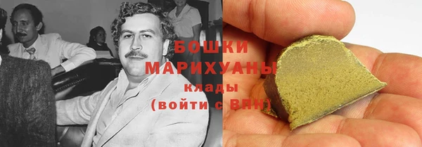 гидра Верея