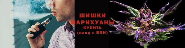 гидра Верея