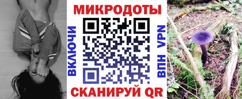 Псилоцибиновые грибы мицелий  Купить закладки  Тюкалинск 